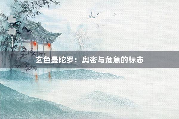 玄色曼陀罗：奥密与危急的标志