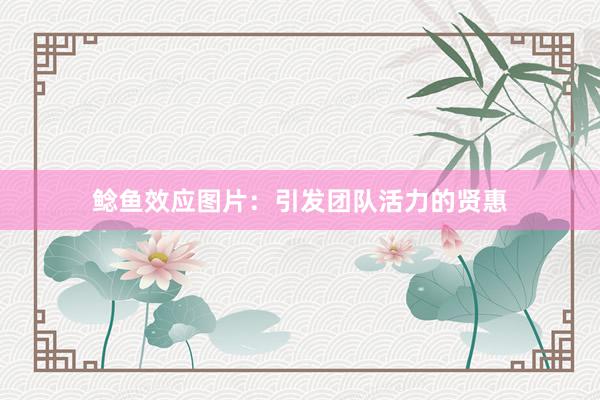 鲶鱼效应图片：引发团队活力的贤惠