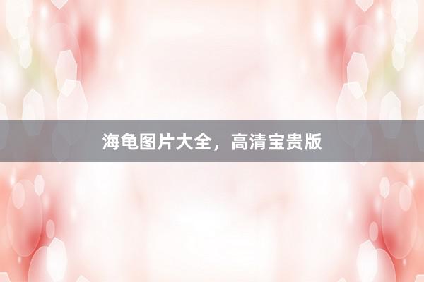 海龟图片大全，高清宝贵版