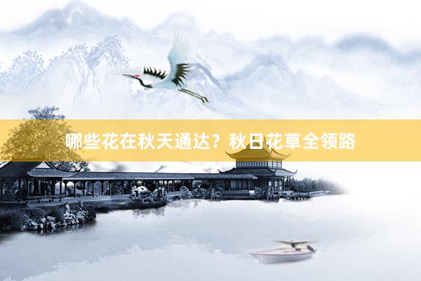 哪些花在秋天通达？秋日花草全领路